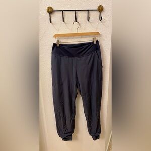 Patagonia Lined Happy Hike Studio Pants